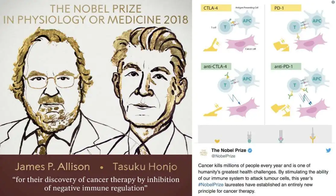 nobel medicina james allison tasuku honjo