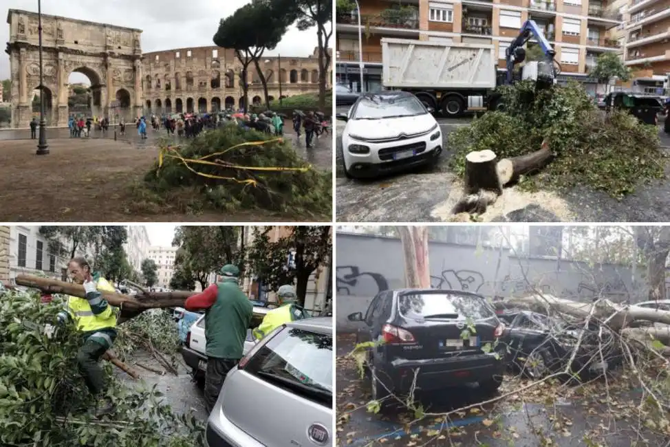 roma alberi caduti