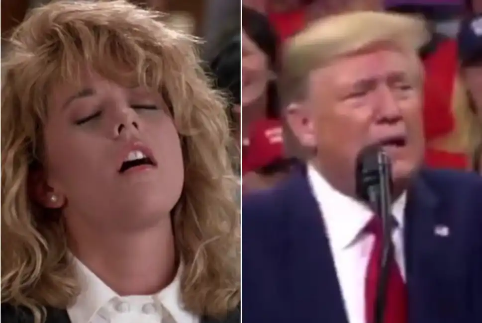 meg ryan trump