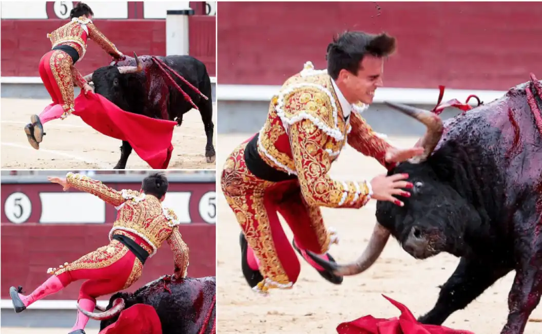 torero gonzalo caballero