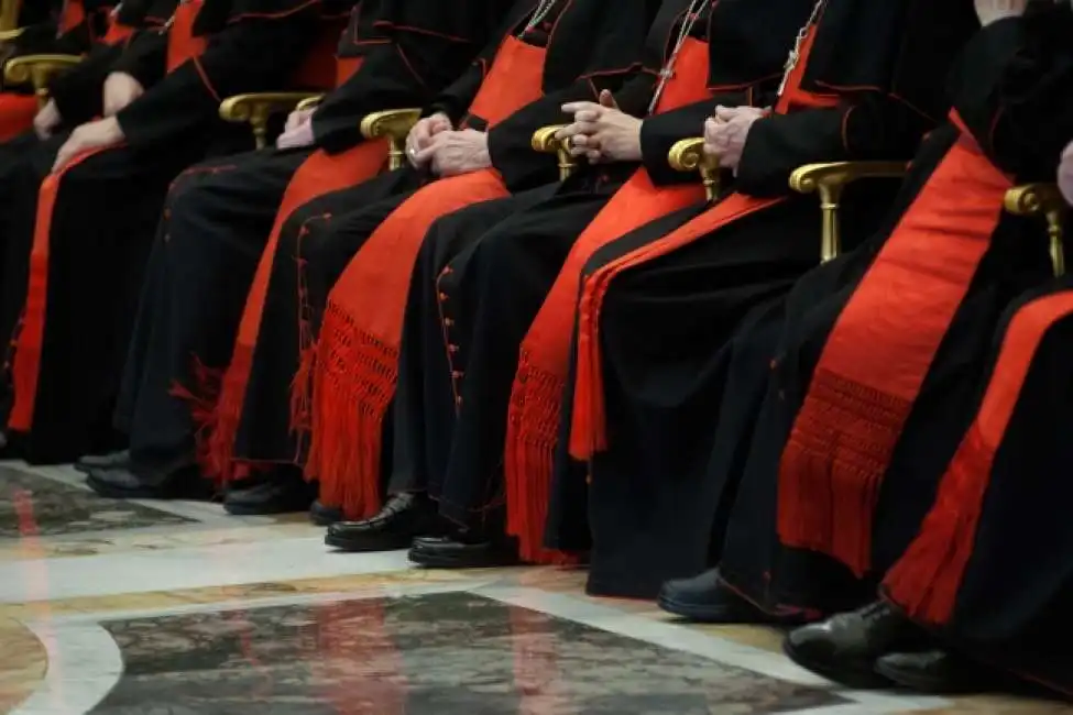 vaticano cardinali