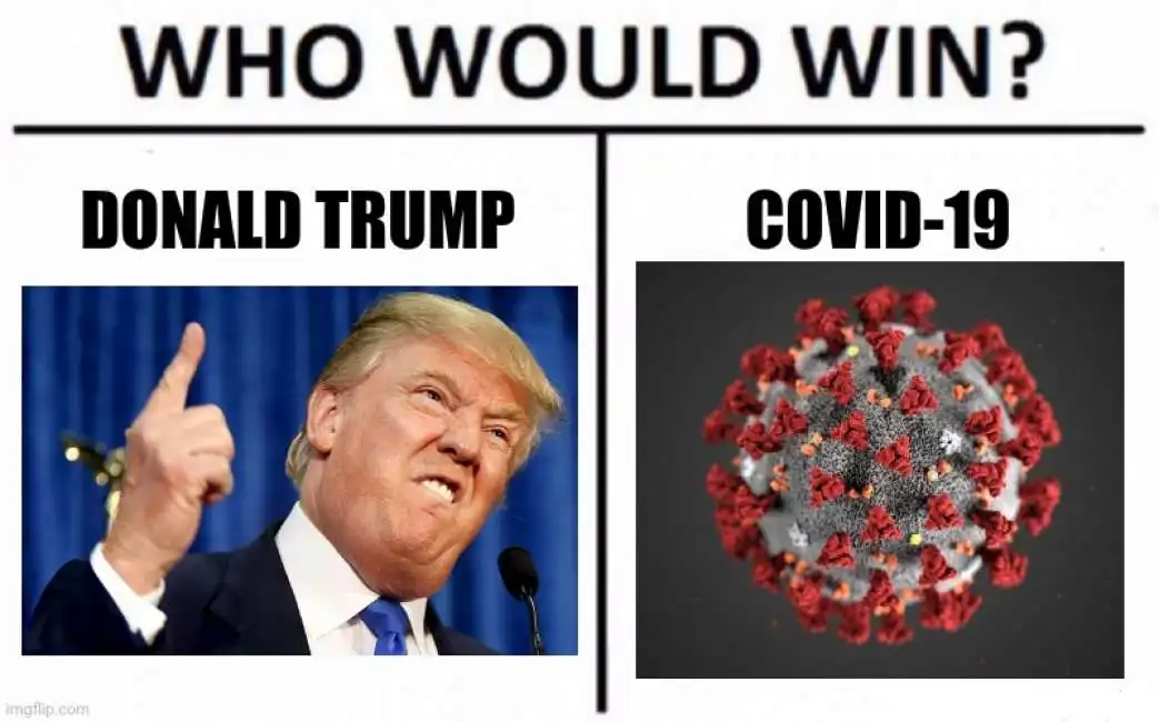 donald trump coronavirus 