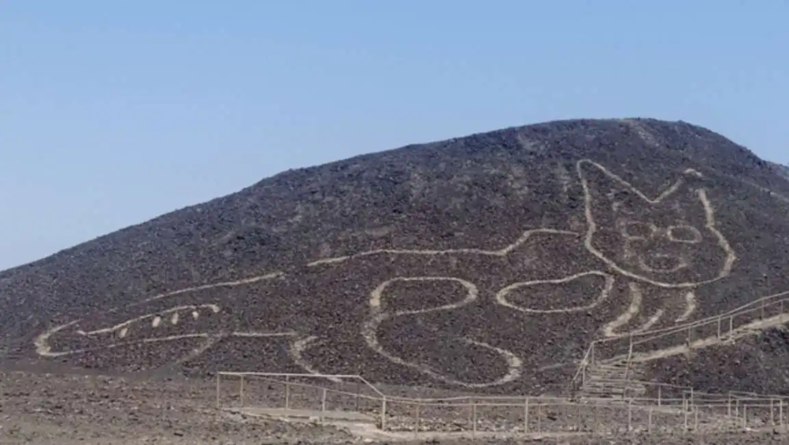 gatto linee di nazca-2