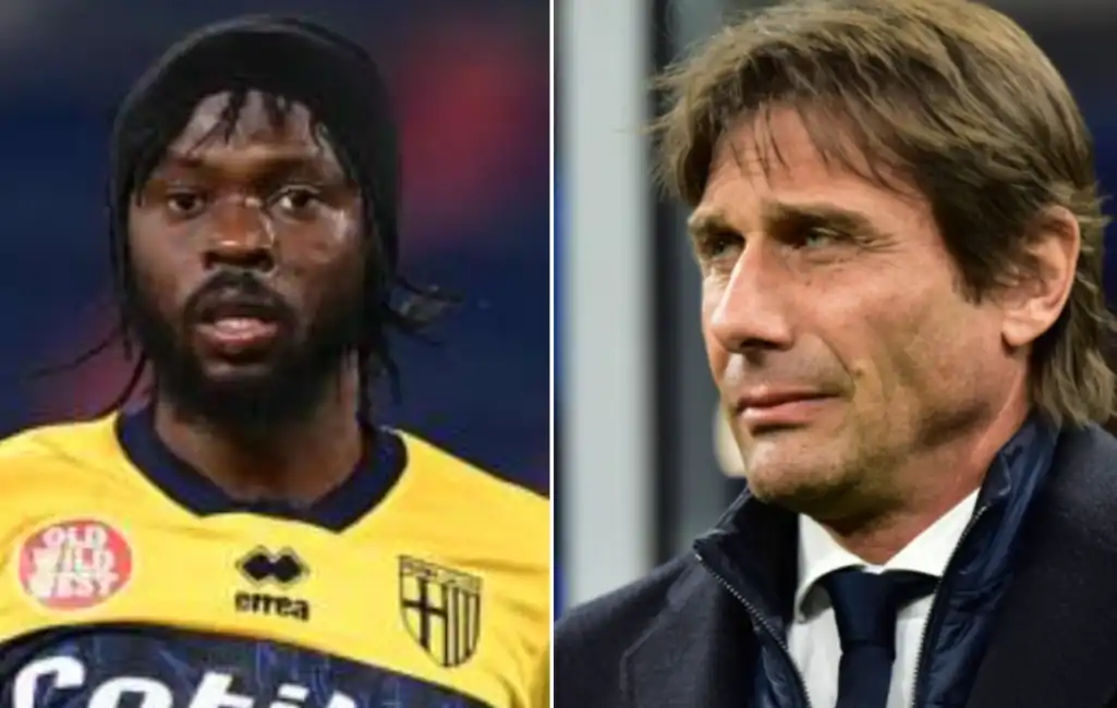 gervinho conte