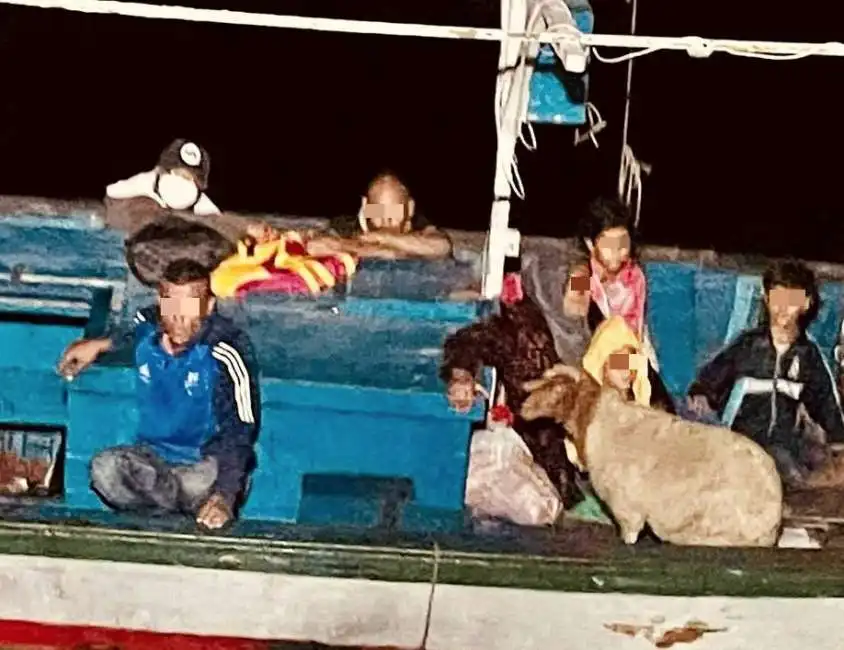 pecora tunisini barca barchino lampedusa