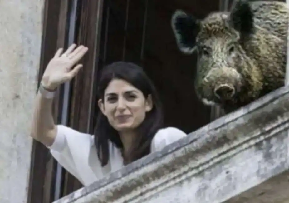 virginia raggi cinghiale cinghiali 