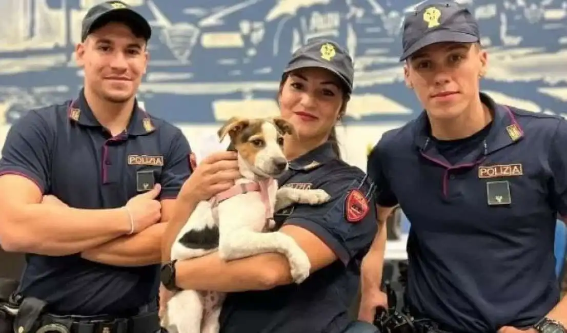 cane lanciato sui binari da un senzatetto a milano