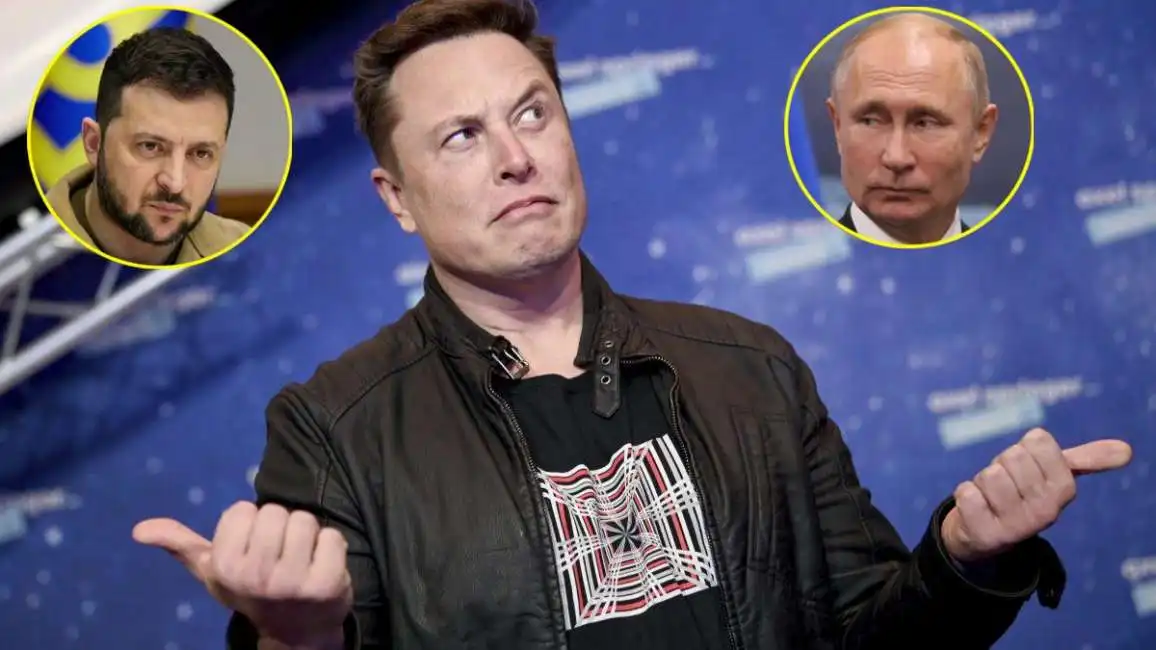 elon musk zelensky putin