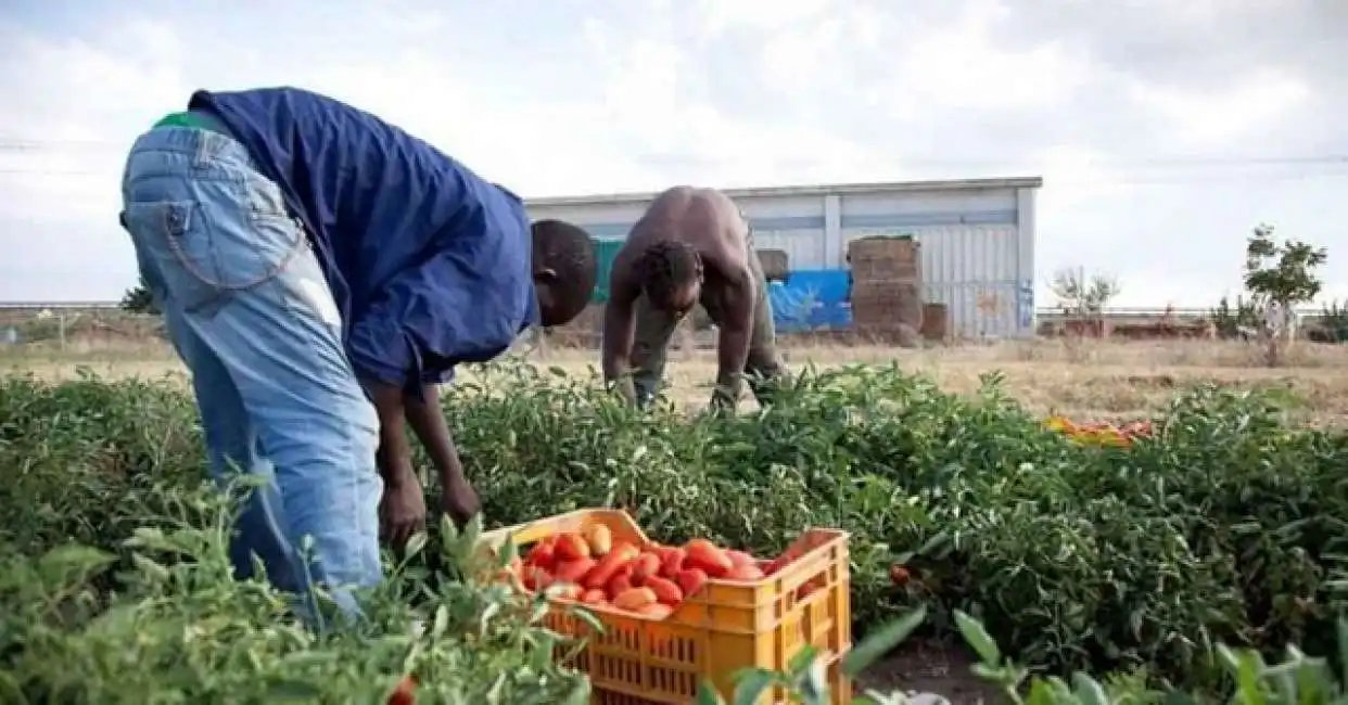 lavoratori stranieri immigrati lavoro