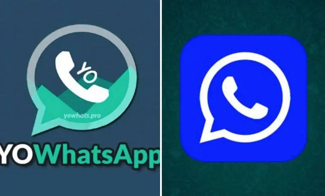 whatsapp plus yowhatsapp