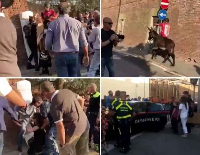 proteste degli animalisti alla corsa asini di bereguardo 