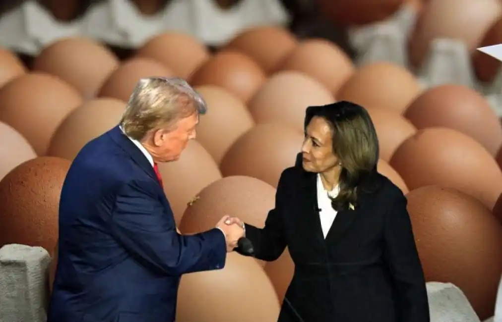 donald trump kamala harris