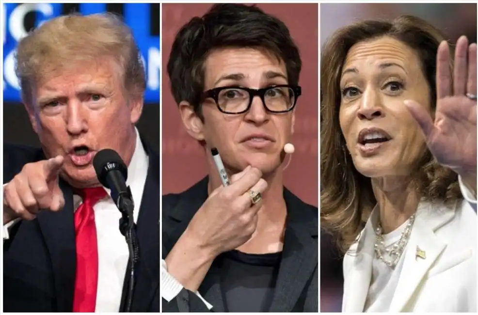 donald trump rachel maddow kamala harris