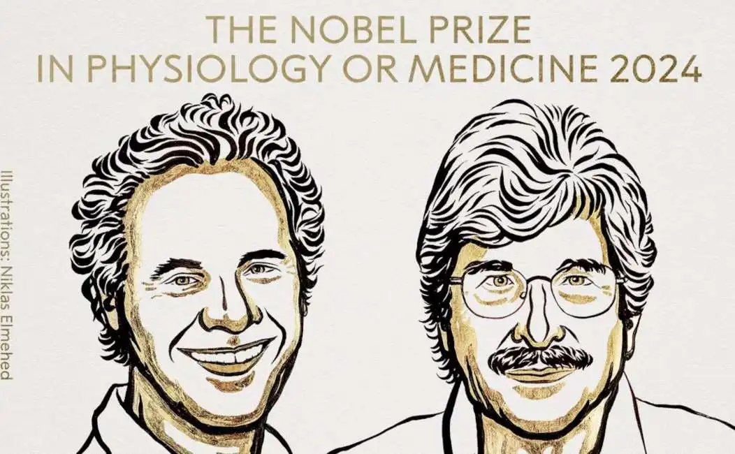 victor ambros e gary ruvkun - premio nobel per la medicina 2024 