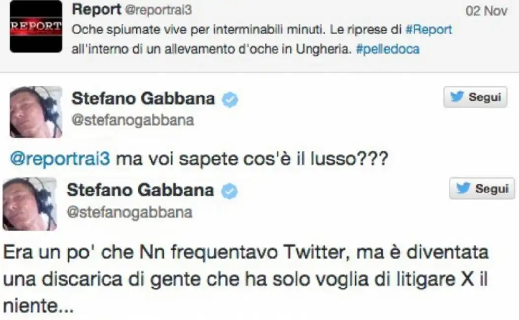 gabbana report twitter