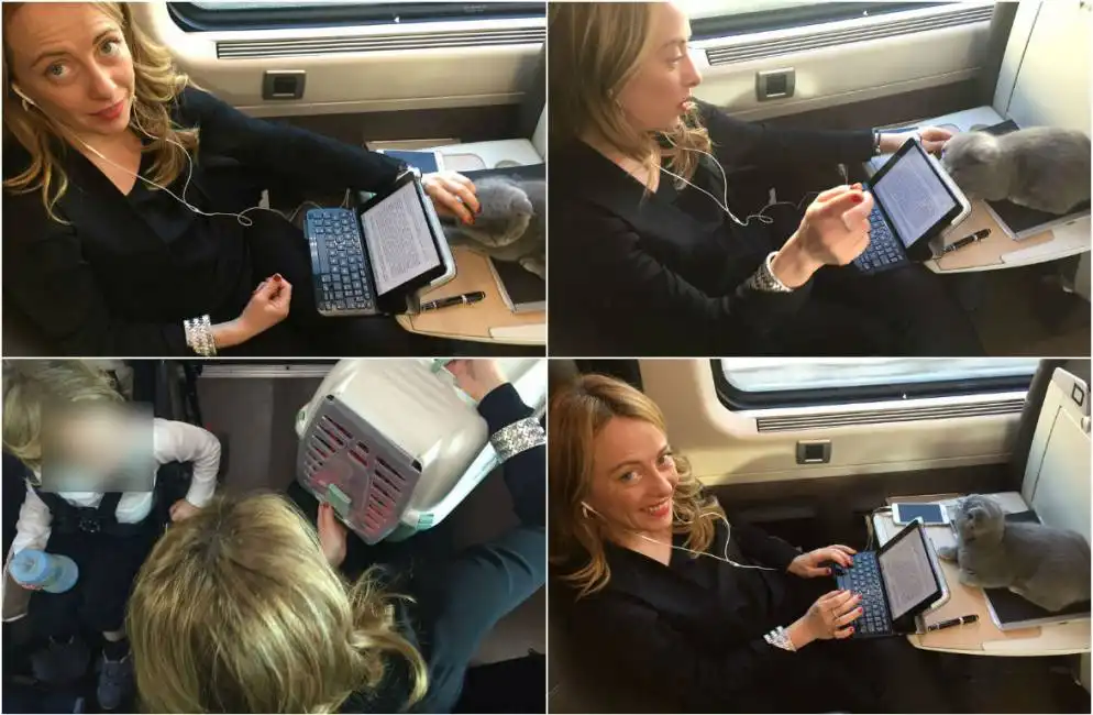 giorgia meloni in treno con il gatto b