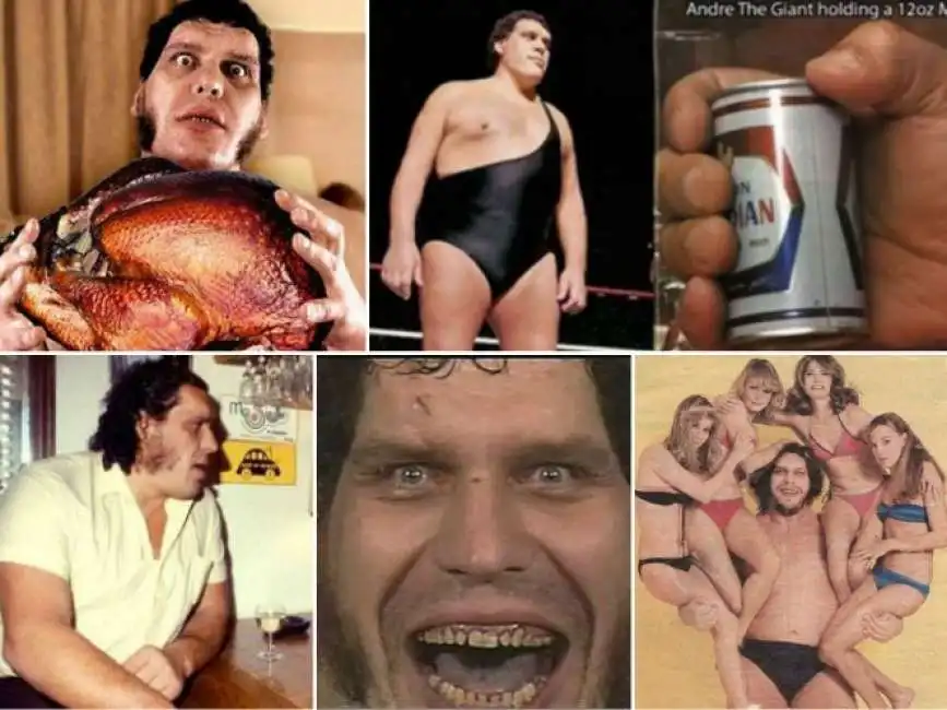 andre the giant