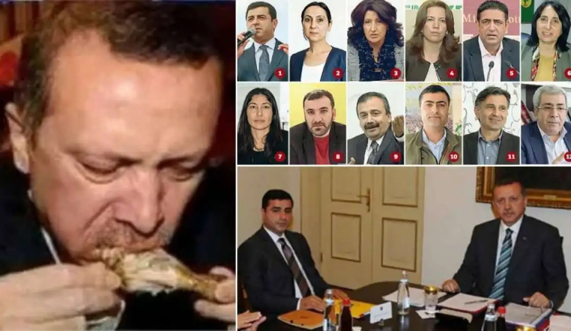 erdogan demirtas