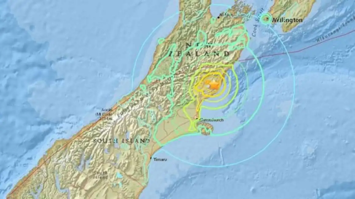 nuova zelanda terremoto