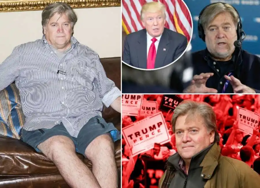 steve bannon