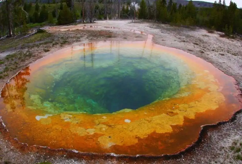 yellowstone