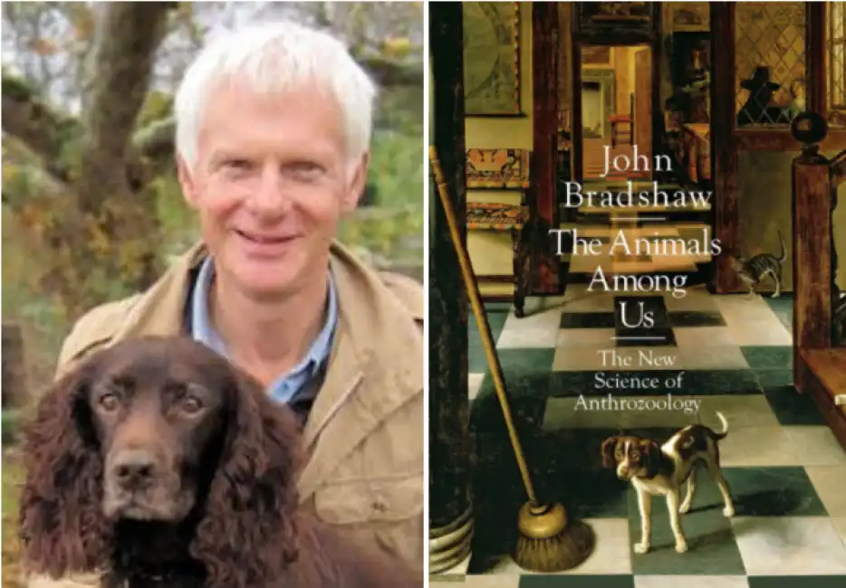 john bradshaw the animals among us 