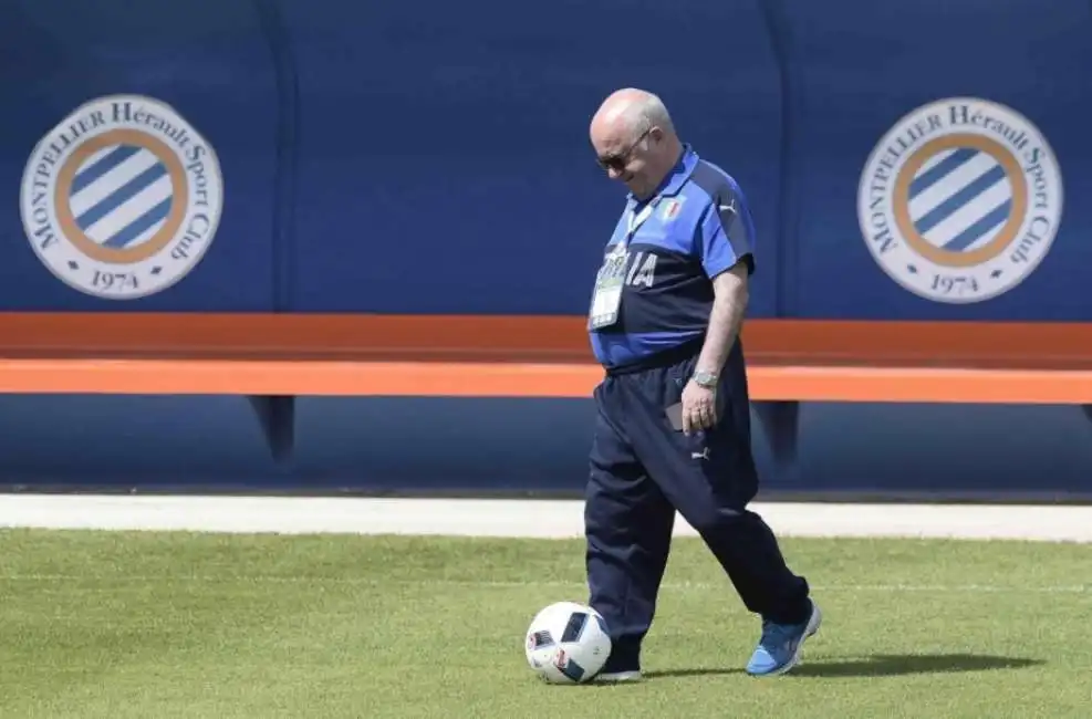 tavecchio nazionale italia