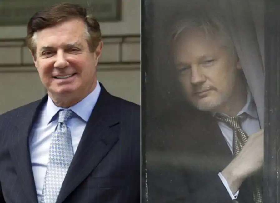 assange manafort