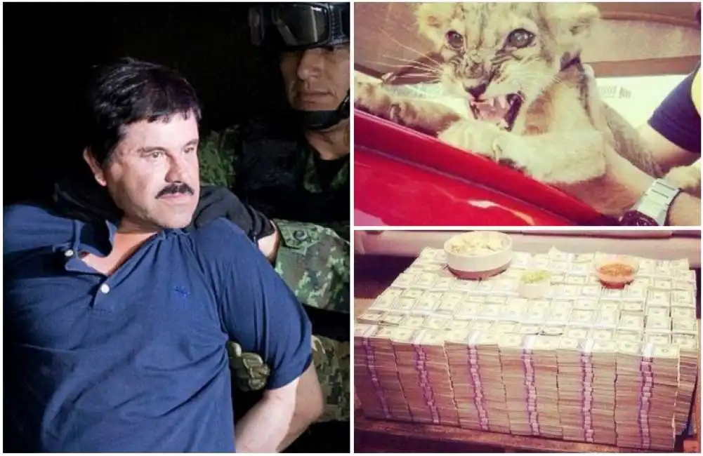 el chapo-1