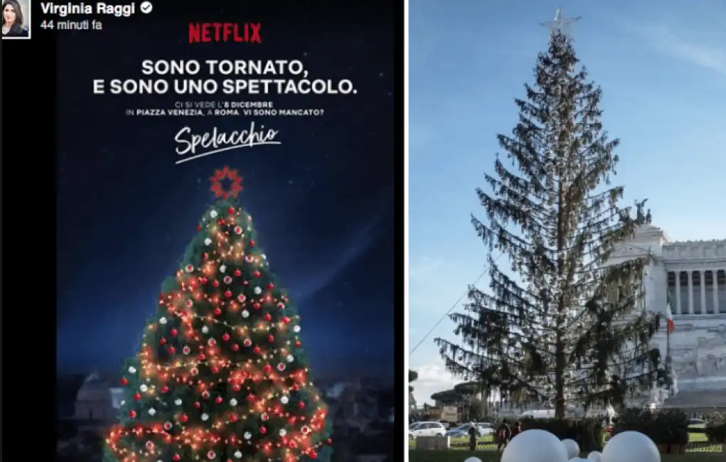 raggi spelacchio nuovo albero di natale