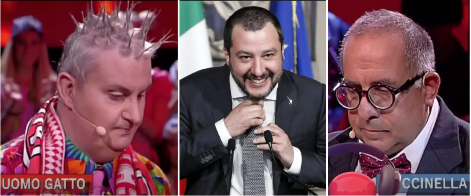 salvini uomo gatto coccinella