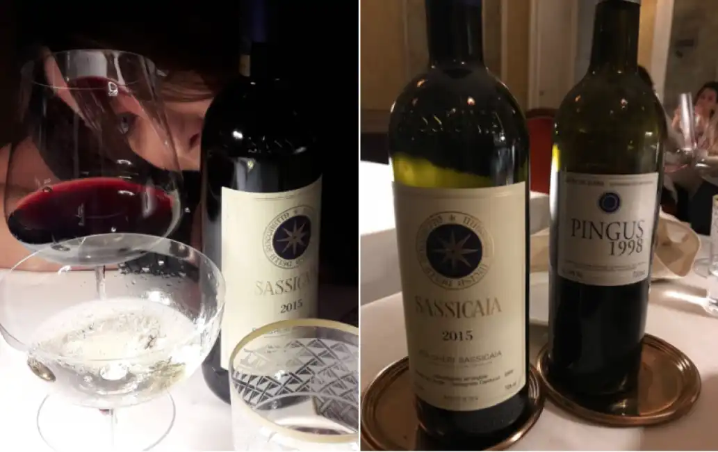 sassicaia 2015 lauro