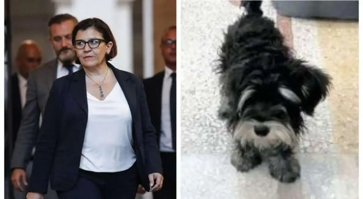 elisabetta trenta e pippo