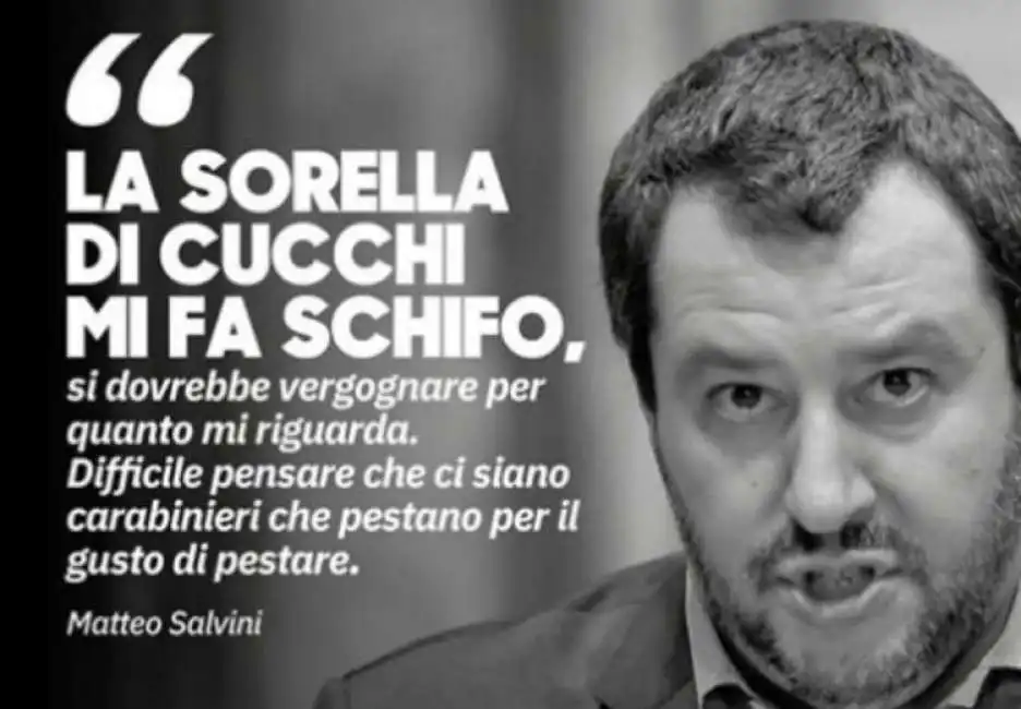 salvini cucchi