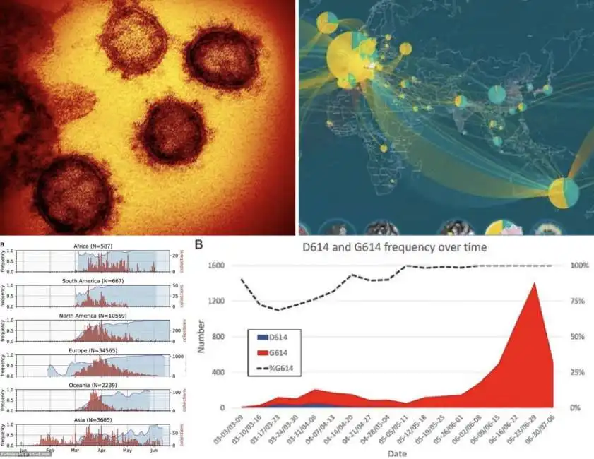 d614g coronavirus mutazione 