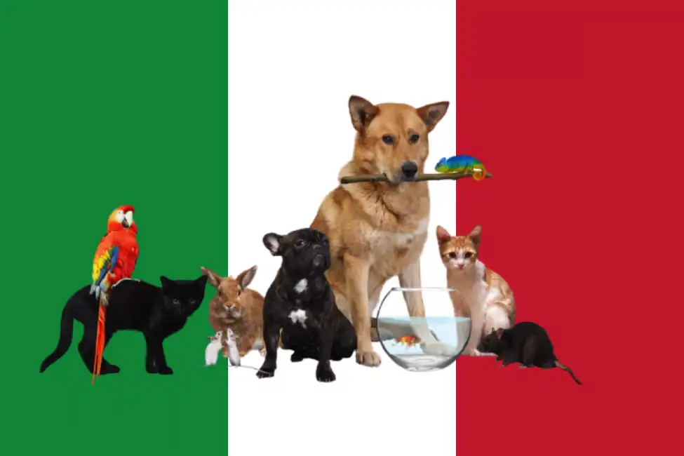 animali domestici italia