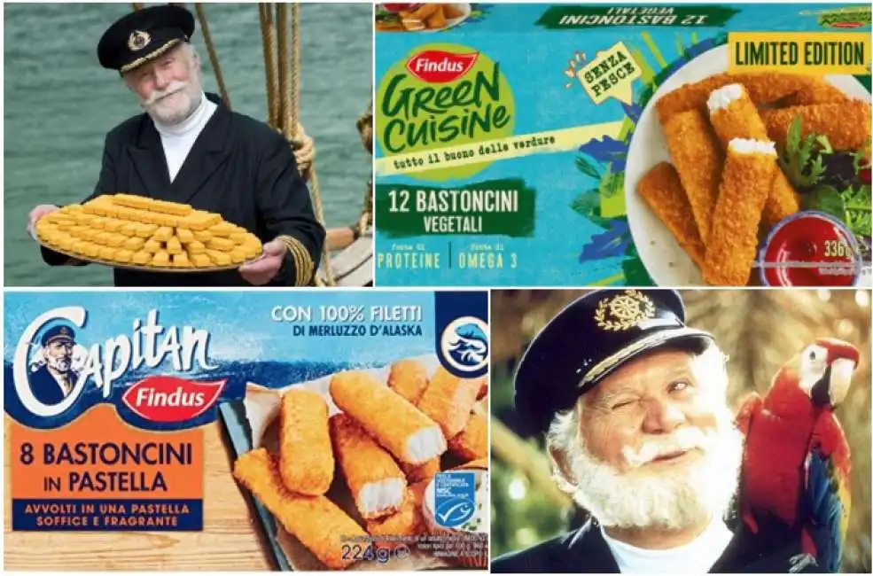 bastoncini vegani findus 