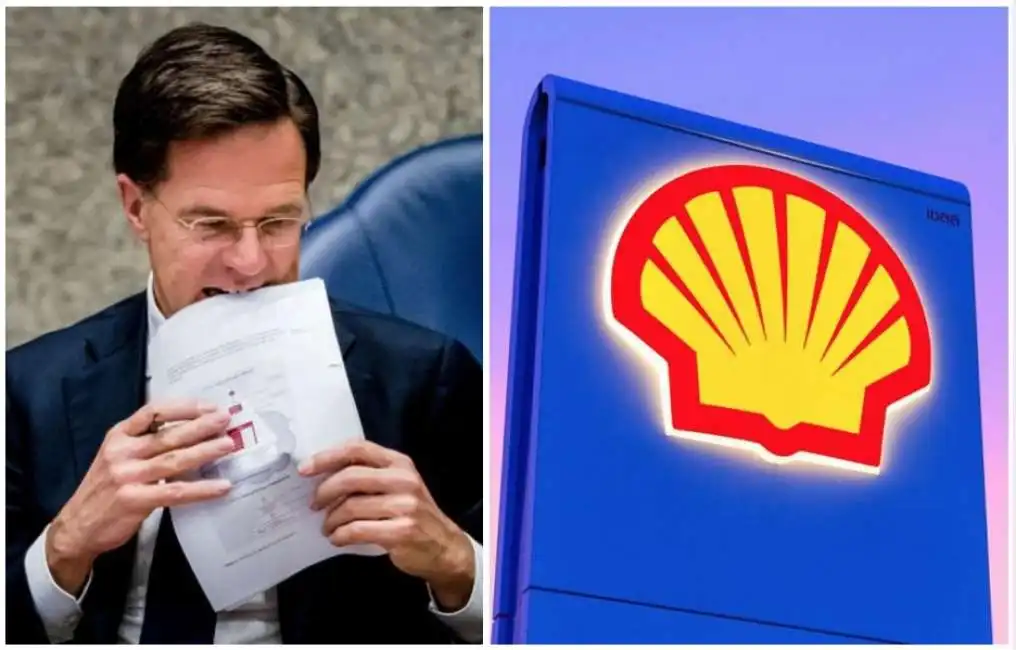 mark rutte shell