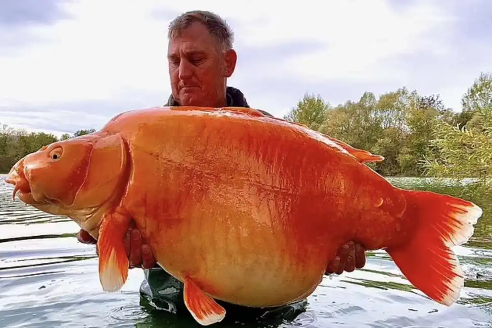 andy hackett con il pesce pescato 1