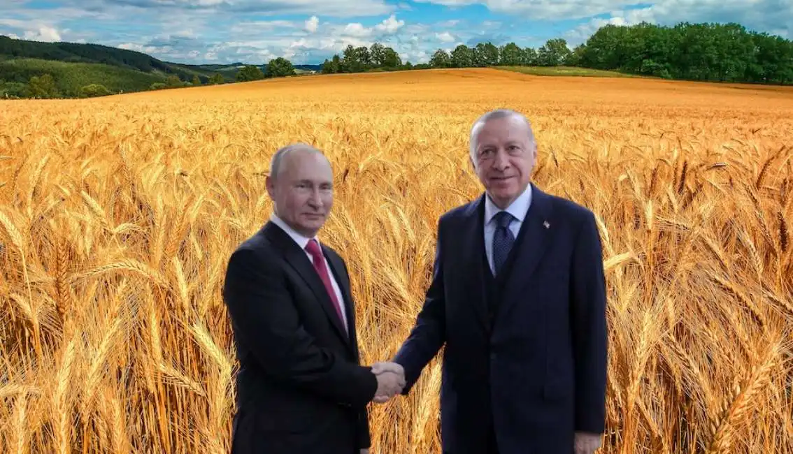 grano putin erdogan