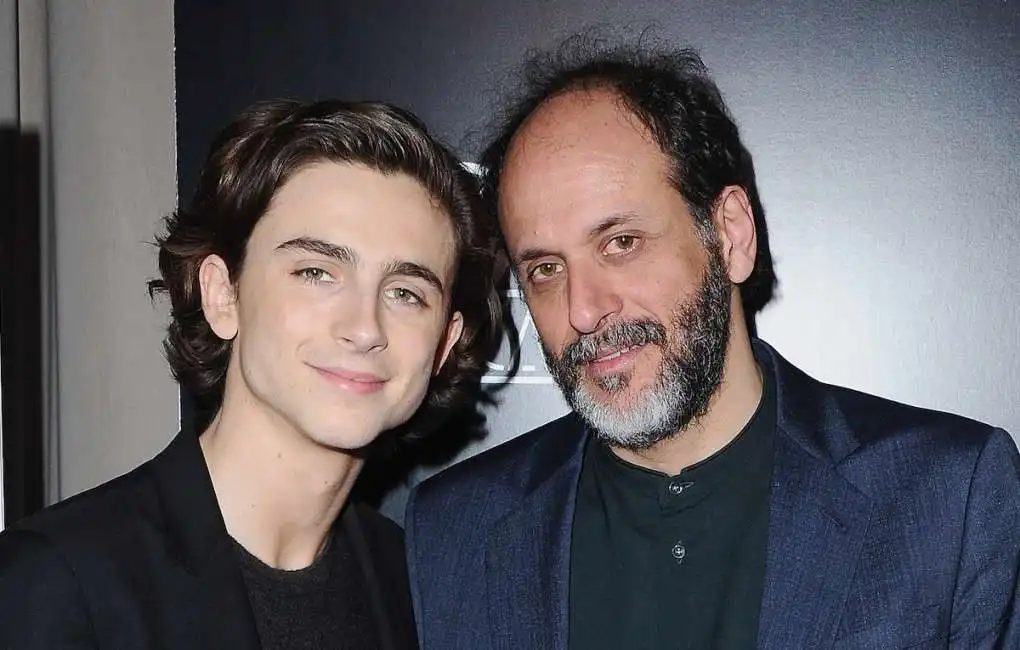 timothee chalamet luca guadagnino