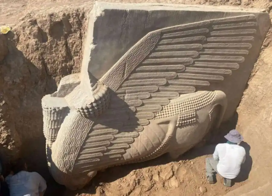 lamassu scoperto in iraq