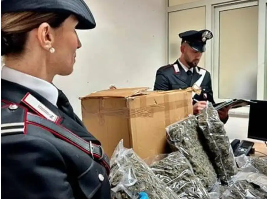 sequestro marijuana