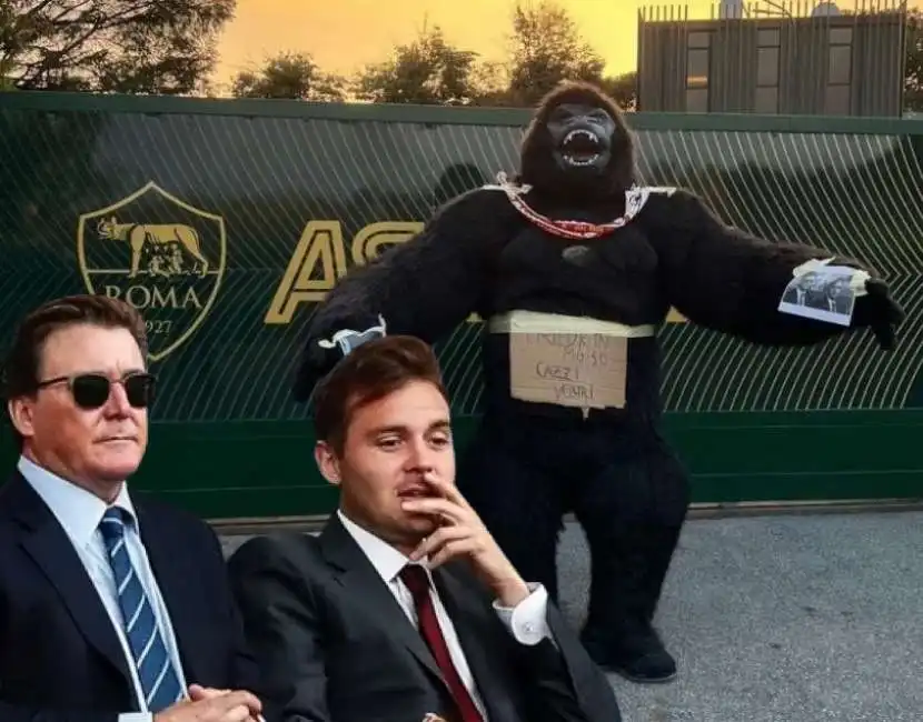 dan friedkin gorilla trigoria roma as