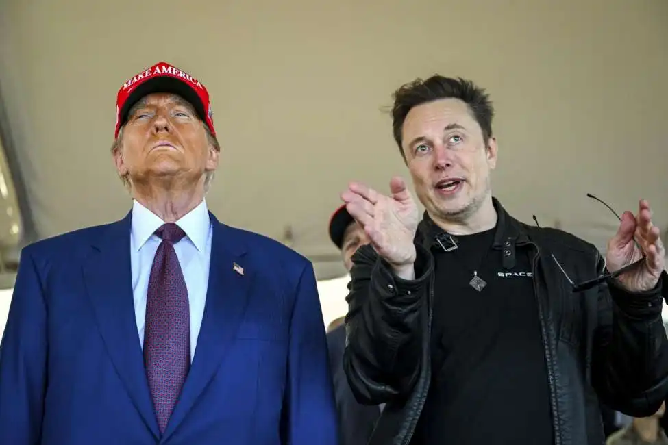 donald trump elon musk 