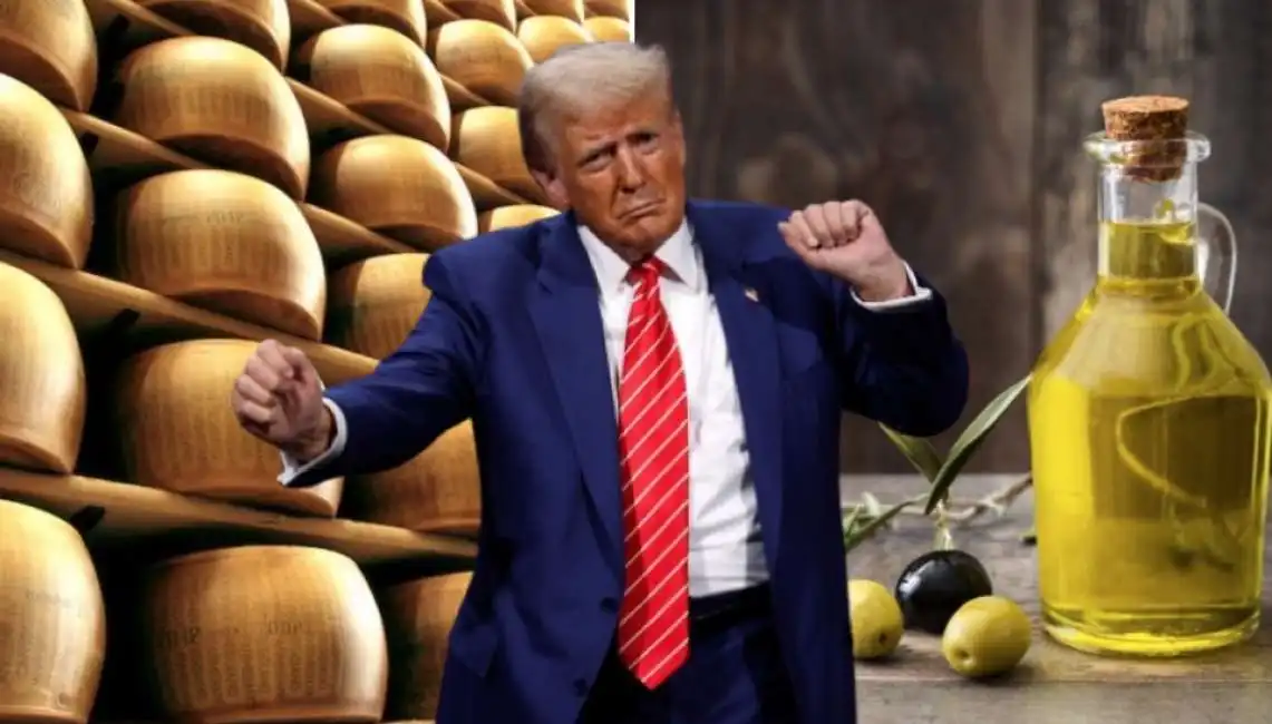 donald trump olio di oliva made in italy parmigiano dazi