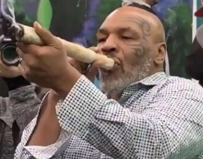 mike tyson marijuana