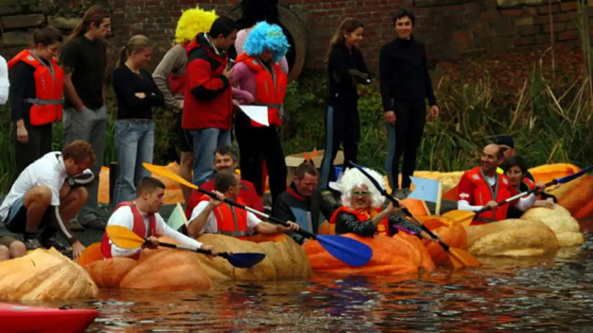 regata di zucche a kasterlee 4