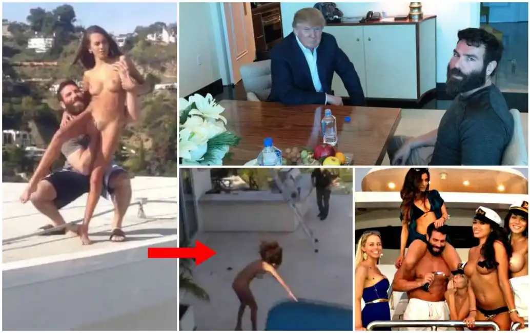 dan bilzerian donald trump