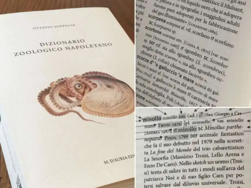 dizionario zoologico napoletano